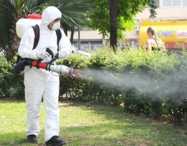 administrare imobile dezinsectii si deratizari servicii deratizari