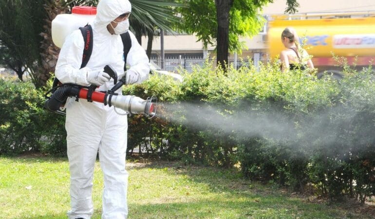 administrare imobile dezinsectii si deratizari servicii deratizari