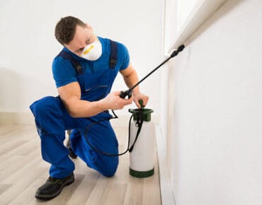 istockphoto 583999546 612x612 1