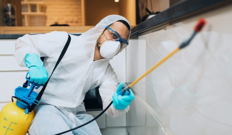 House pest control