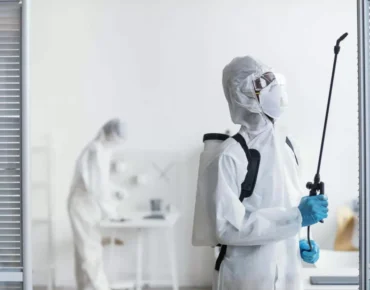 Deratizare Profesională în Constanța – Protecție Totală