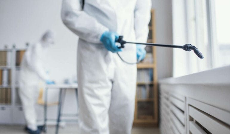 Deratizare și Dezinsecție Brăila – Profesioniști Certificați