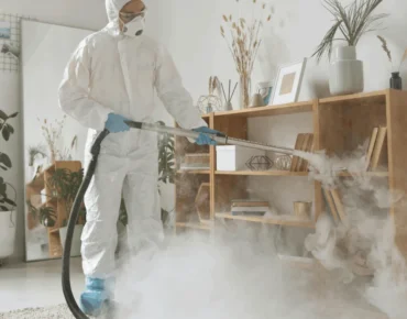 Expert DDD Pitești – Soluții Profesionale Pentru Casa Ta
