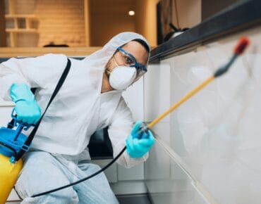 House pest control