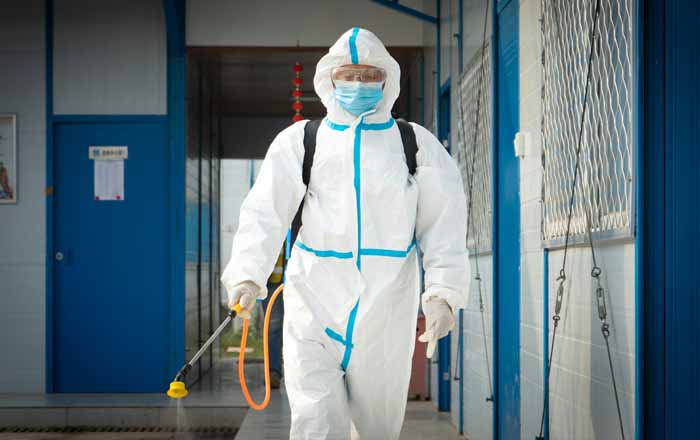 Servicii DDD Buzău – Deratizare și Dezinsecție Eficientă