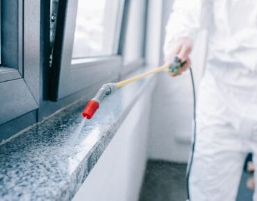 Servicii DDD Craiova – Scapă de Dăunători Rapid