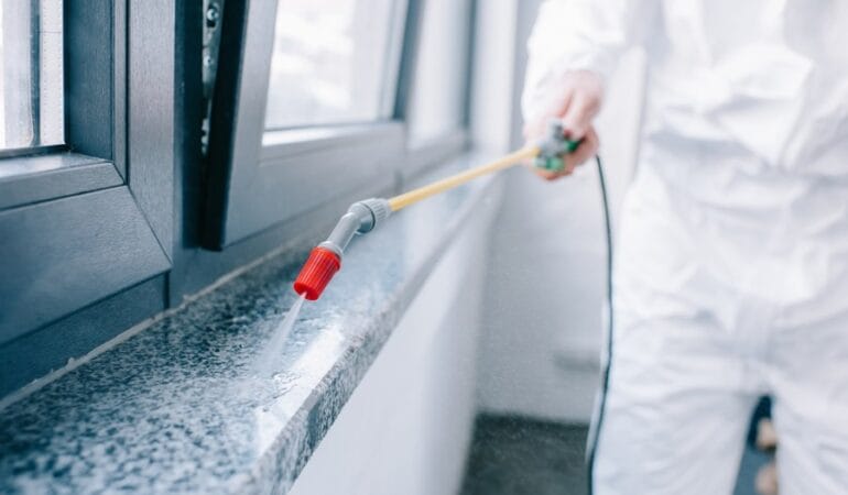 Servicii DDD Craiova – Scapă de Dăunători Rapid