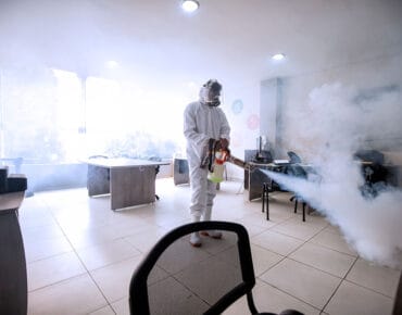 Servicii DDD Galați – Deratizare și Dezinfecție Profesională