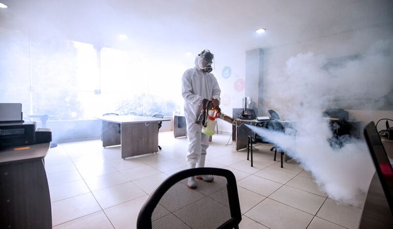 Servicii DDD Galați – Deratizare și Dezinfecție Profesională