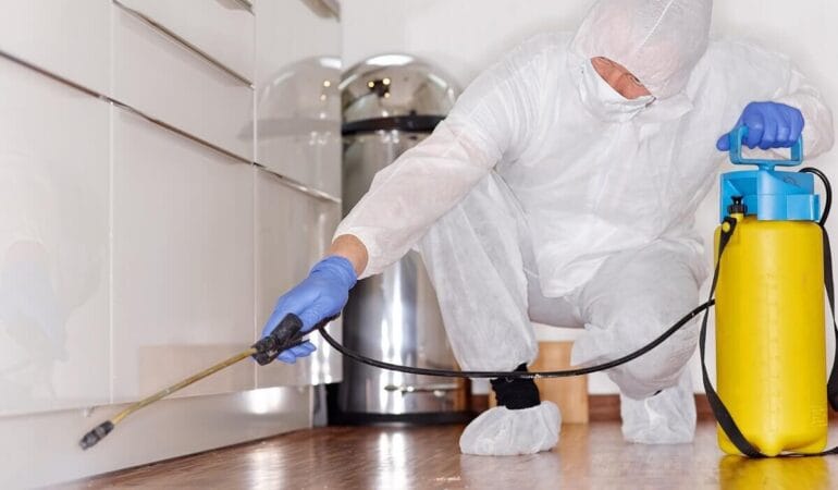 Servicii DDD Pitești – Dezinsecție și Deratizare Eficientă