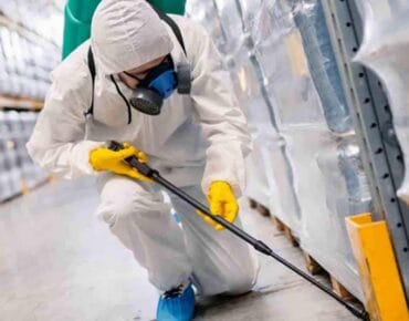 Servicii DDD Ploiești – Deratizare și Dezinsecție de Încredere